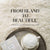 From Bland to Beautiful: How Rugs Can Transform Your Space - Exclusive Spaces