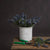 Small Lavender Spray – Everbloom Collection- Set of 4 Hill Interiors