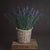 Large Lavender Stem – Everbloom Collection- Set of 3 Hill Interiors