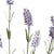 Large Lavender Stem – Everbloom Collection- Set of 3 Hill Interiors