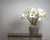 Classic White Amaryllis Flower – Everbloom Collection- Set of 3 Hill Interiors