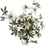 Passion Flower Spray – Everbloom Collection- Set of 3 Hill Interiors