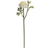 Green Ranunculus Spray – Everbloom Collection- Set of 3