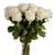 Traditional White Rose – Everbloom Collection- Set of 3 Hill Interiors