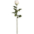 Traditional White Rose – Everbloom Collection- Set of 3
