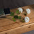 Viburnum Opulus – Everbloom Collection- Set of 3 Hill Interiors