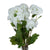 Viburnum Opulus – Everbloom Collection- Set of 3 Hill Interiors