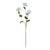 Viburnum Opulus – Everbloom Collection- Set of 3 Hill Interiors