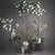 Viburnum Opulus – Everbloom Collection- Set of 3 Hill Interiors