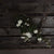 White Wild Meadow Rose – Everbloom Collection- Set of 3 Hill Interiors