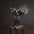 White Wild Meadow Rose – Everbloom Collection- Set of 3 Hill Interiors