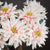 Lush Pink Dahlia – Everbloom Collection- Set of 3 Hill Interiors