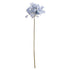 Light Blue Agapanthus – Everbloom Collection- Set of 2