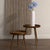 Light Blue Agapanthus – Everbloom Collection- Set of 2 Hill Interiors