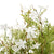 Italian White Bellflower – Everbloom Collection- Set of 3 Hill Interiors