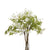 Italian White Bellflower – Everbloom Collection- Set of 3 Hill Interiors