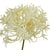 Three Head Cream Allium Spray – Everbloom Collection- Set of 3 Hill Interiors