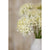 Three Head Cream Allium Spray – Everbloom Collection- Set of 3 Hill Interiors