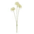 Three Head Cream Allium Spray – Everbloom Collection- Set of 3