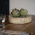 Mango Wood Trinket Dish - Hand Crafted Exclusive Spaces